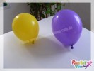 blumenlaterne-(0) blumenlaterne-(0)