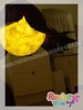 blumenlaterne-(7) blumenlaterne-(7)